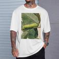 月の毛虫、ビンテージ昆虫画、ルナの幼虫 M Tシャツ 彼への贈り物