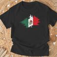 Mexiko Flagge Frauen Kinder Männer Mexikaner Land Mexico T-Shirt Geschenke für alte Männer