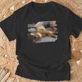 アビシニアン・フェリス・カタス Tシャツ 高齢者への贈り物