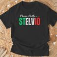イタリア山アルプス旅行 パッソ・デッロ・ステルヴィオ メンズ レディース Tシャツ 高齢者への贈り物