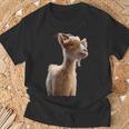 ヤギ 家畜ヤギ 野生ヤギ アイベックス ヤギ 甘味ヤギ Tシャツ 高齢者への贈り物