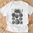 海洋学 海洋動物学 生物学者 航海ウニ Tシャツ 高齢者への贈り物