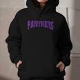 Panthers Back To School Spirit P Graphic Youth Hoodie